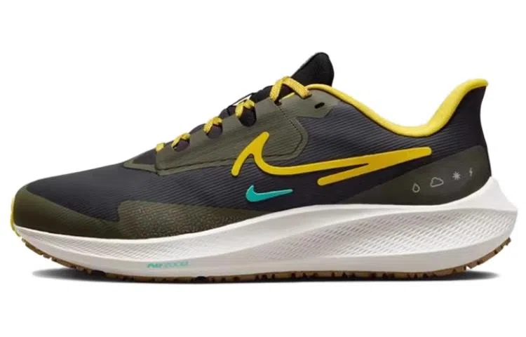 Nike Pegasus Turbo Shield Brown