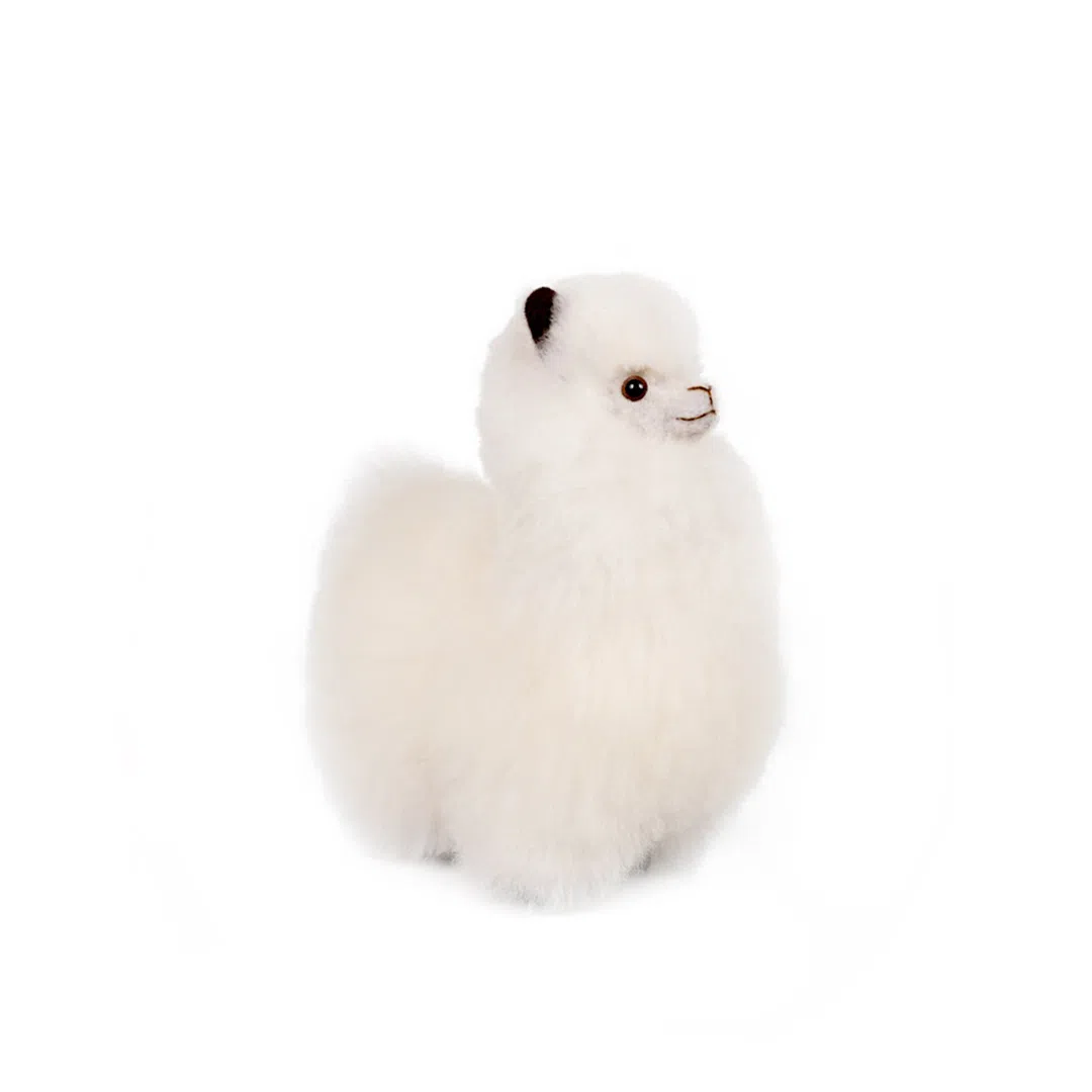 BBFAT ALPACA S