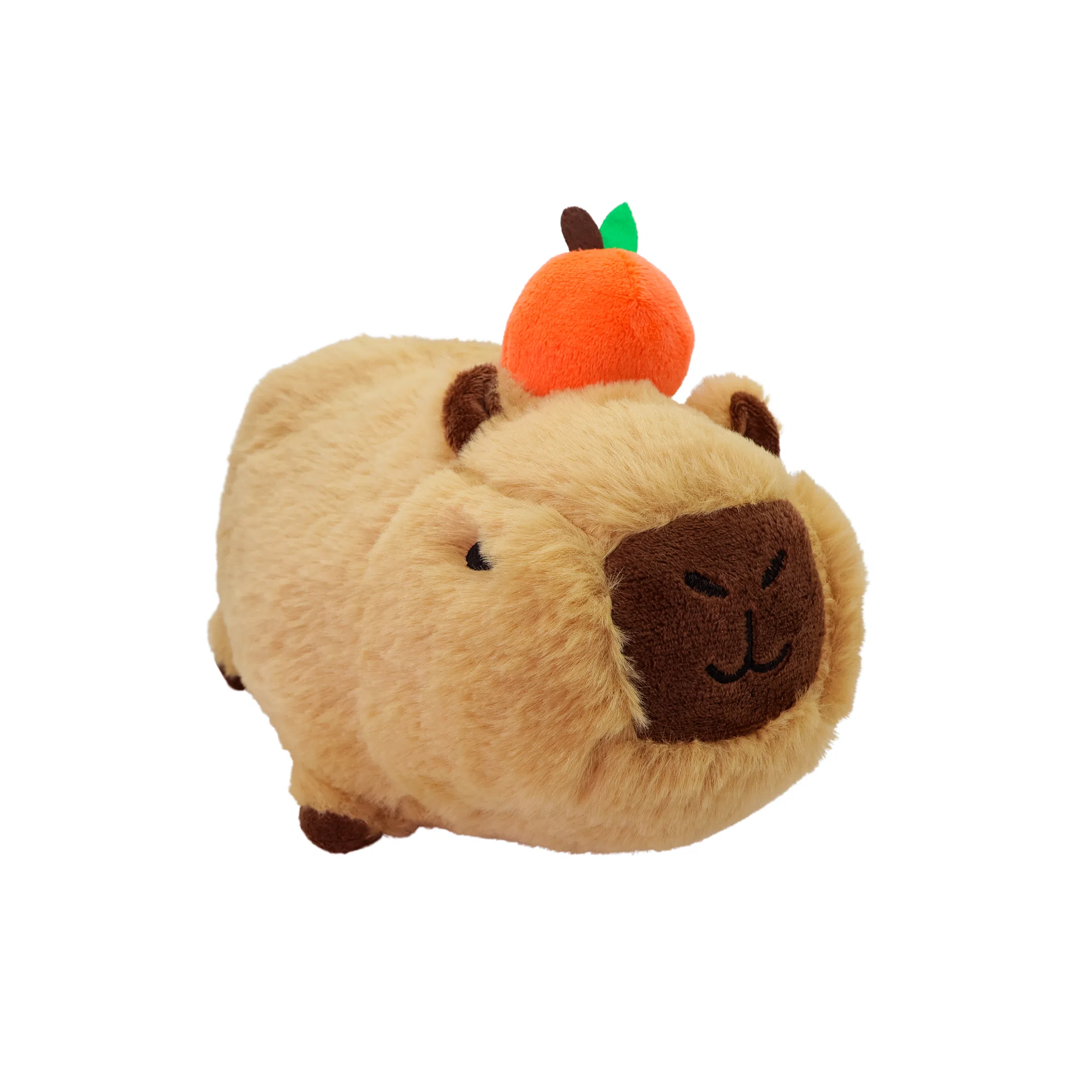 X3COMMUNE capybara 20cm30cm