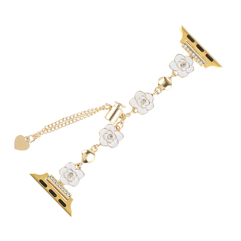 biaodaige iwatchs9applewatch