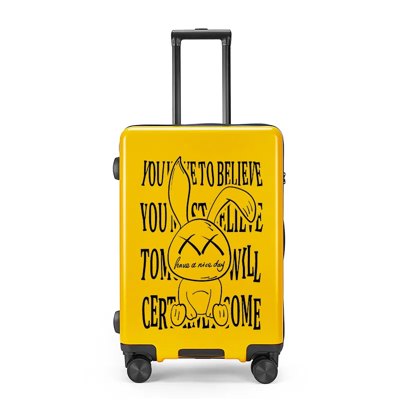 Cute Rabbit ABS+PC 20222426