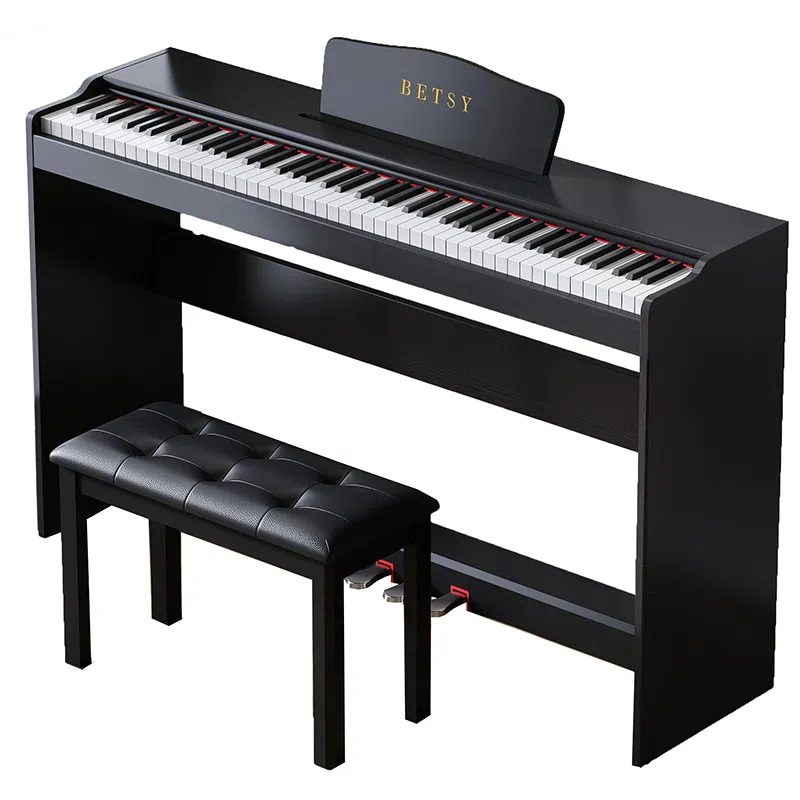 BETSY B313() Betsy B313(