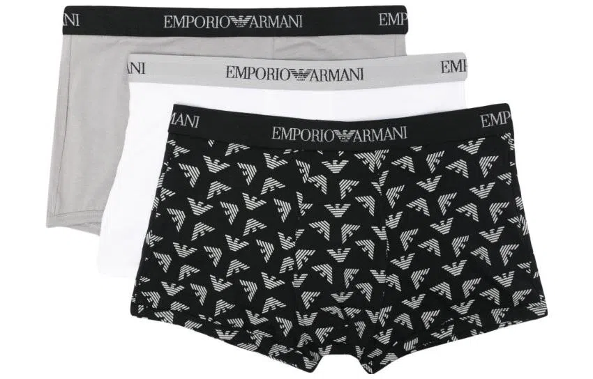 EMPORIO ARMANI FW23 Logo 3