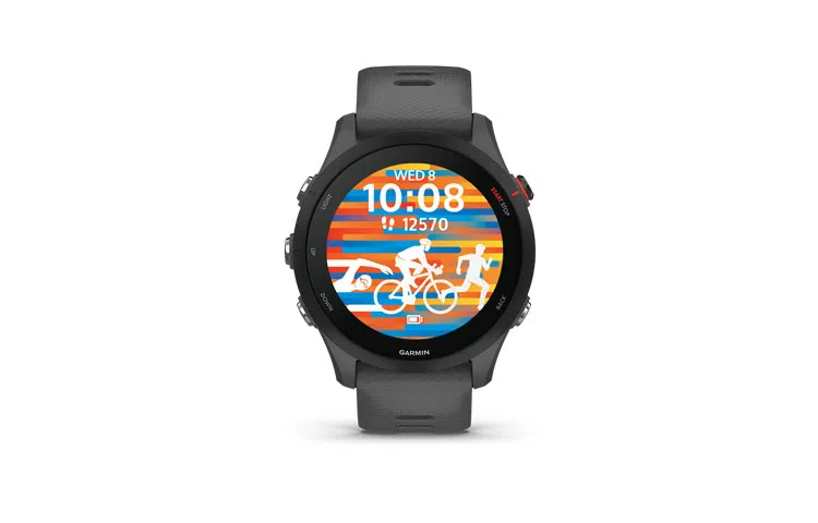 Garmin Forerunner 255 Mysterious Grey