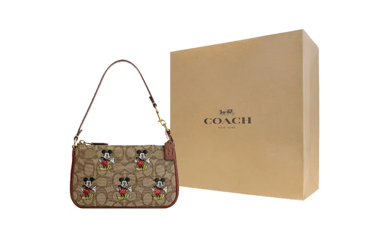 COACH x Disney Nolita 19