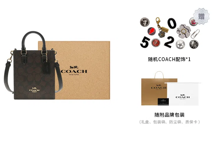 COACH North/South 17 Black