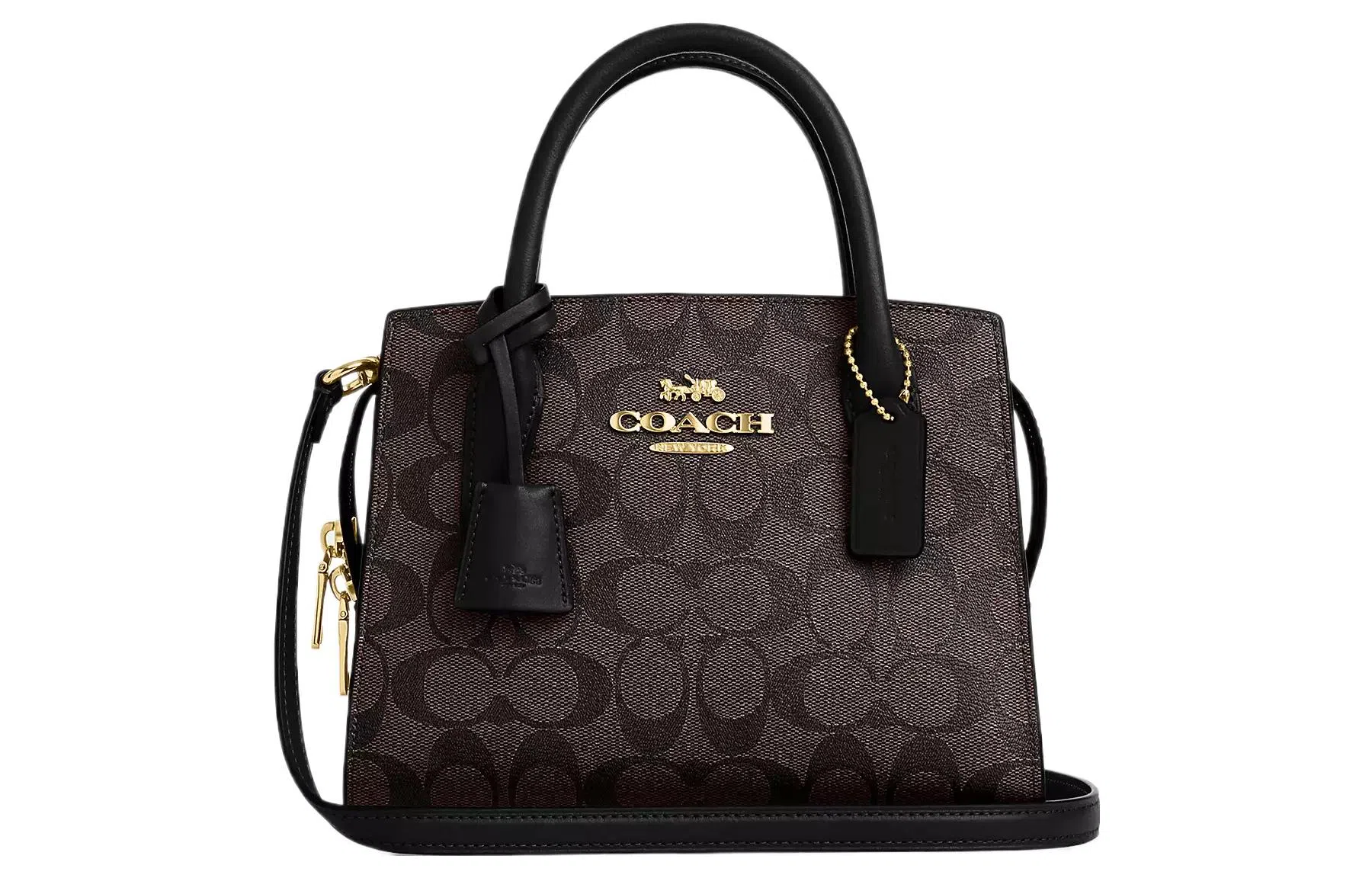 COACH ANDREA CARRYALL 22 Tote
