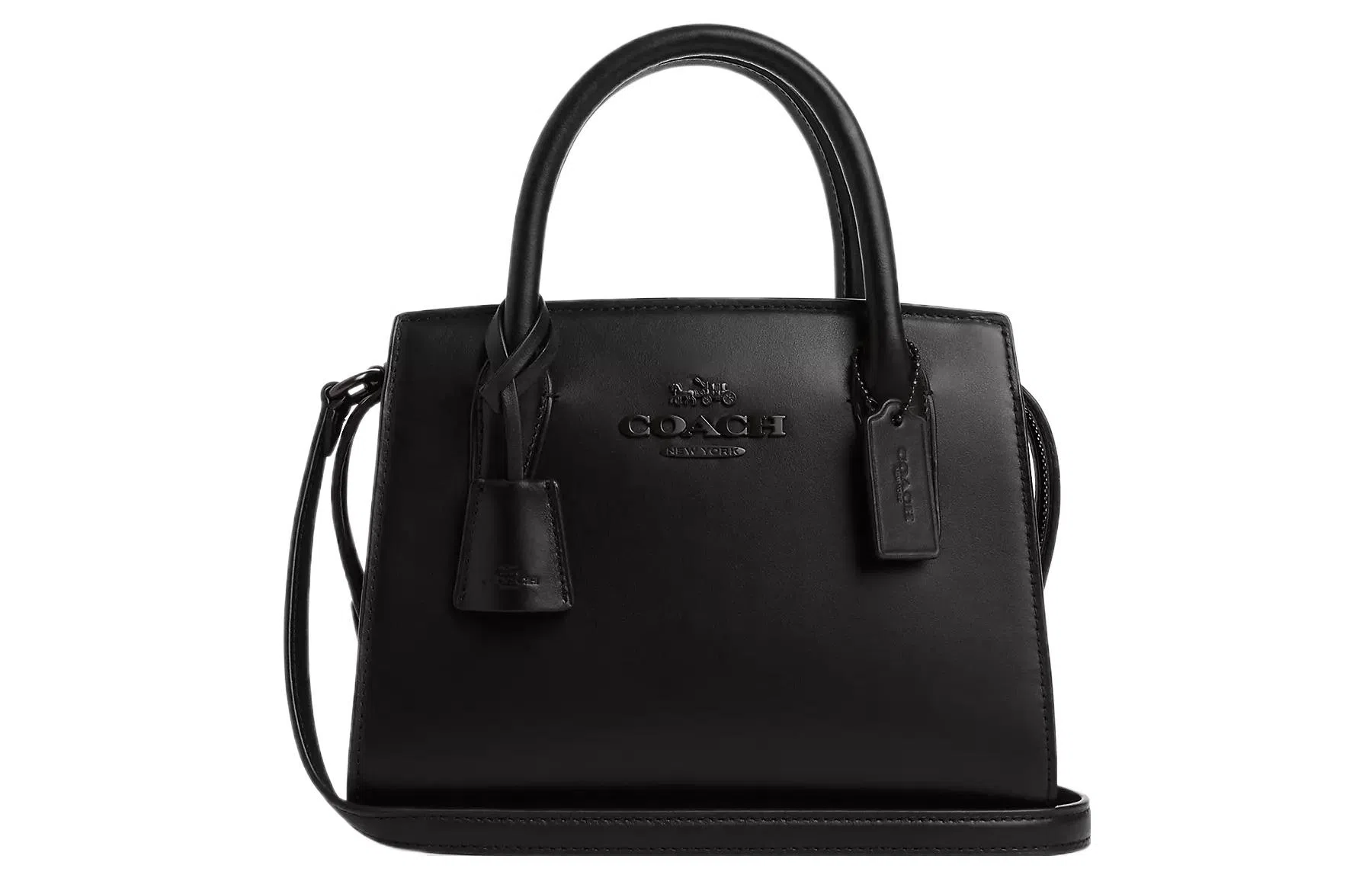 COACH ANDREA CARRYALL 22 Logo