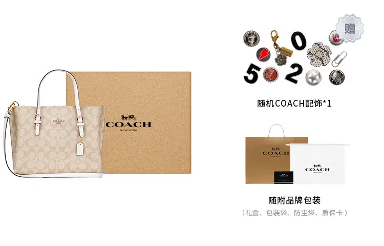 COACH Mollie 25 Tote