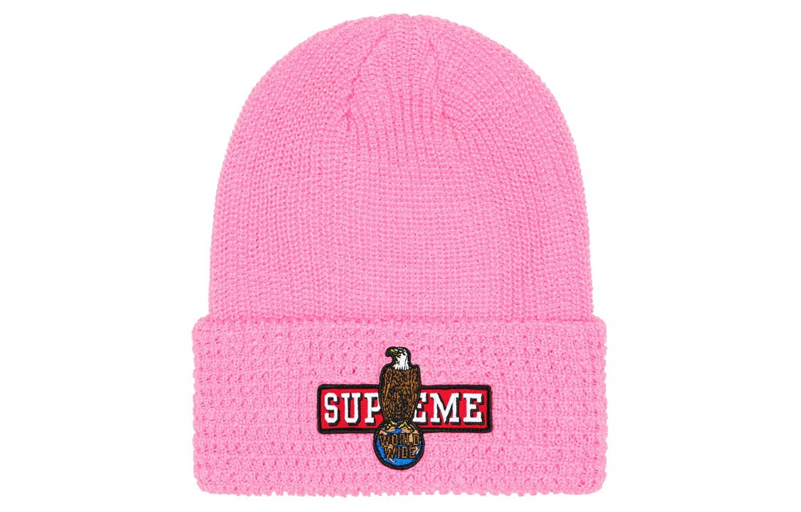 Supreme FW23 WEEK 18 EAGLE BEANIE -
