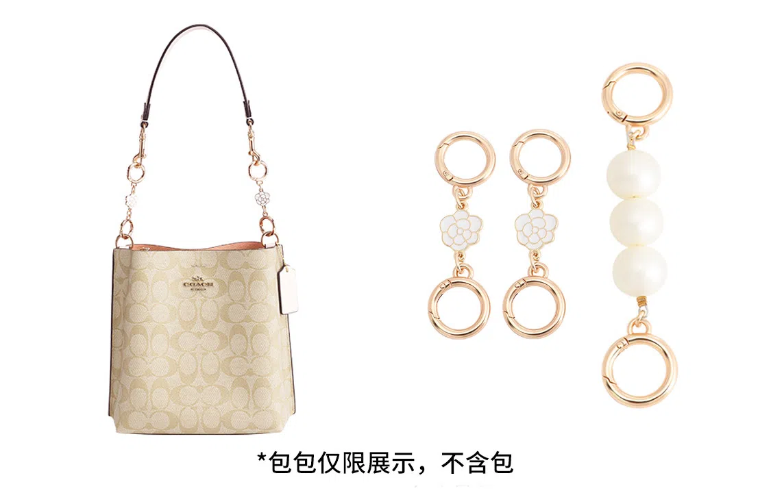 奢护匠心坊 适用蔻驰水桶包四叶草延长链 金属合金 包包肩带改造加长链条配件包带 女款 白色/直金色