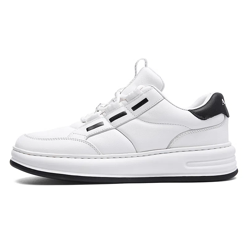 AQUASCUTUM