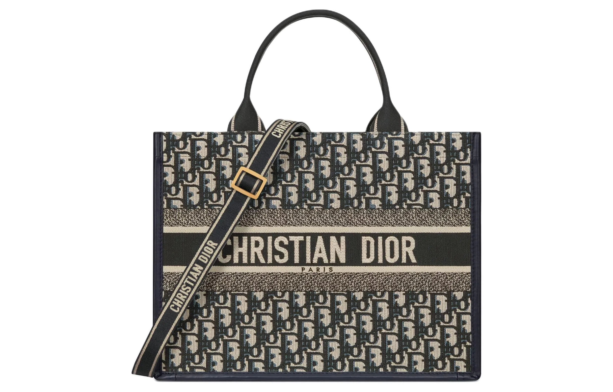 DIOR BookTote Oblique Tote