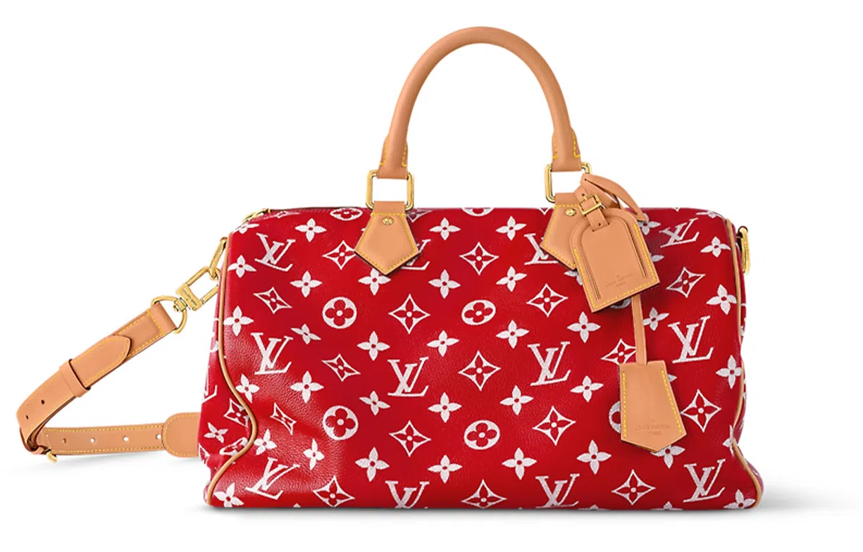 LOUIS VUITTON Speedy 40