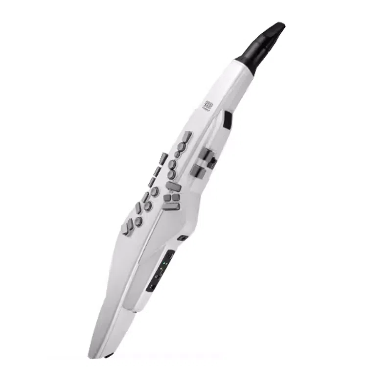 Roland AE20AE-20W Aerophone