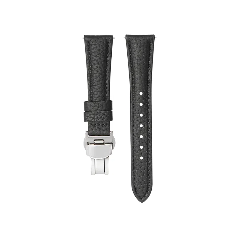 CHENSONG GT4GT3watch4progt2pro