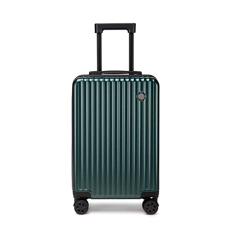 CORALDAISY PC 20242622