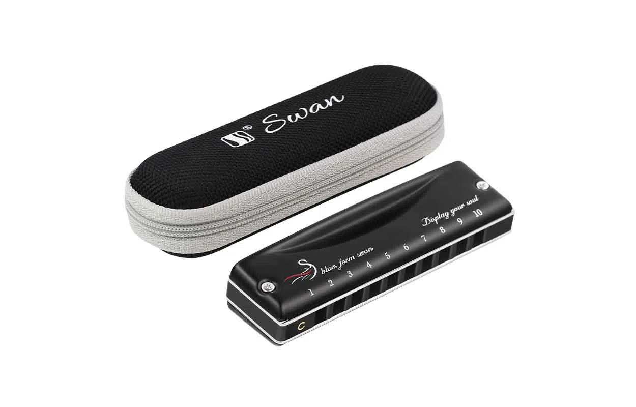 (Swan) 10Blues Paddy