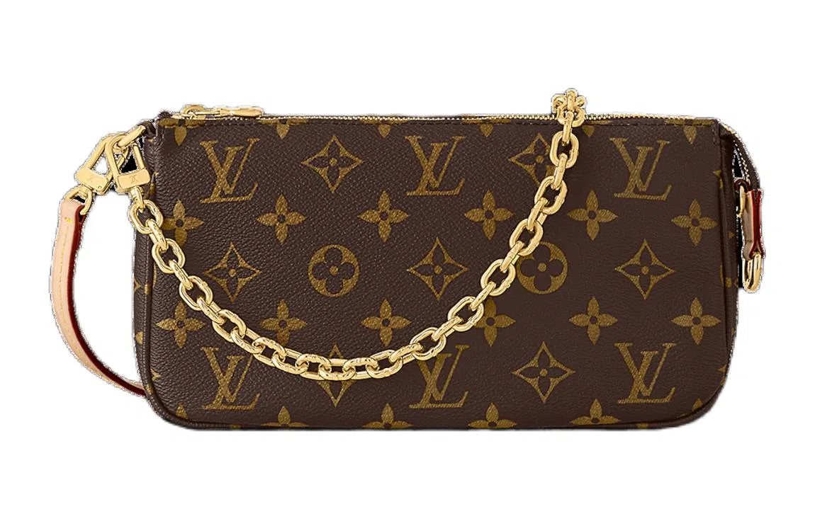 Louis Vuitton Pochette Accessoires