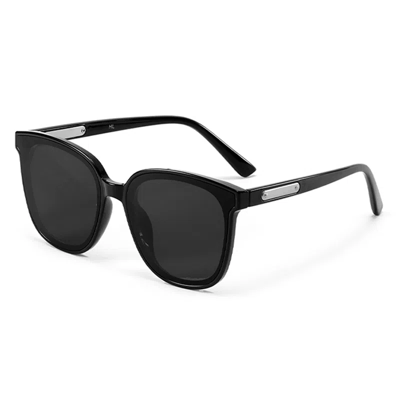 LASHION GM Sunglasses