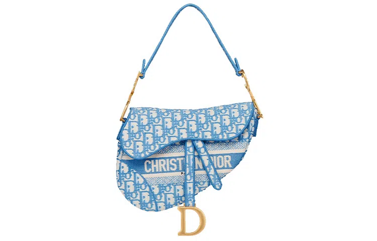 Dior Saddle Cornflower Blue