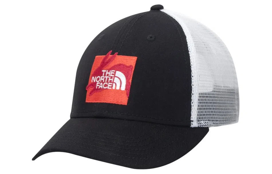 The North Face Cap Black