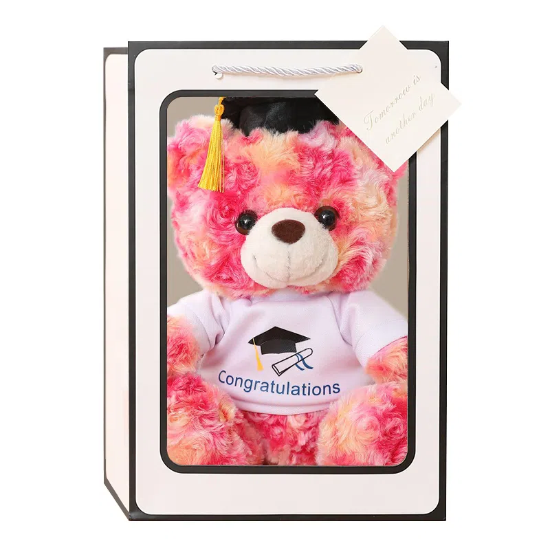 巴巴泥 可爱博士熊毕业熊 玩偶 毛绒公仔