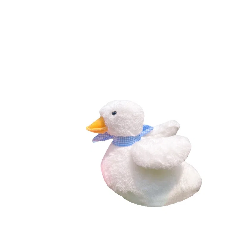 20cm
