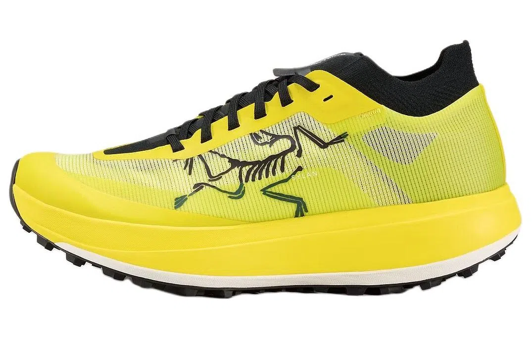 Arcteryx SYLAN PRO