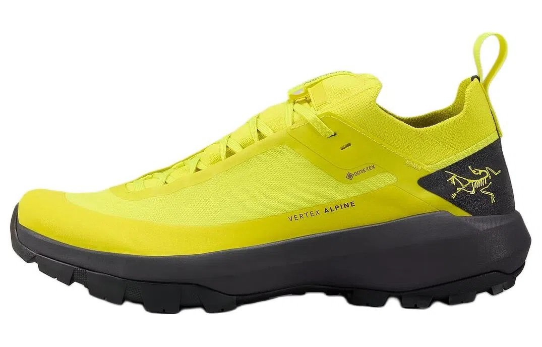 Arcteryx Vertex GTX