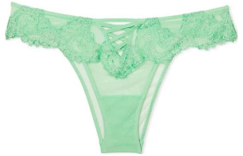 Victoria's Secret DREAM ANGELS Boho Floral Embroidery 1