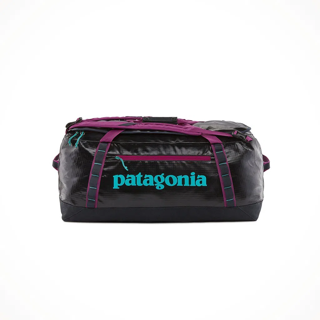 patagonia 70L Logo