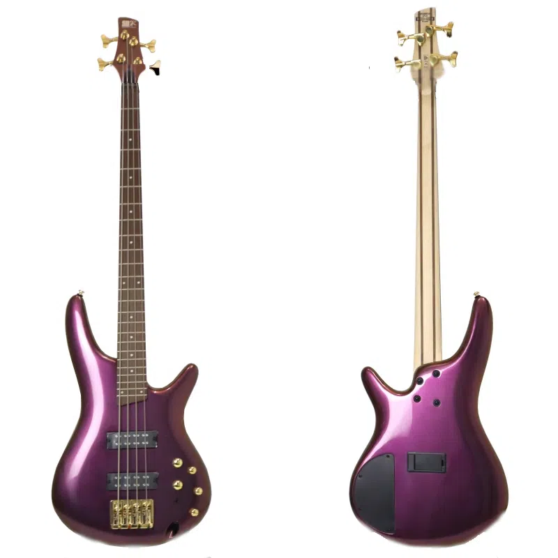 Ibanez SRBass SR300E(4SR305E(5)