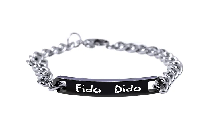 FIDO DIDO HAVE FUN ins