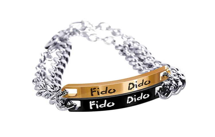 FIDO DIDO HAVE FUN ins