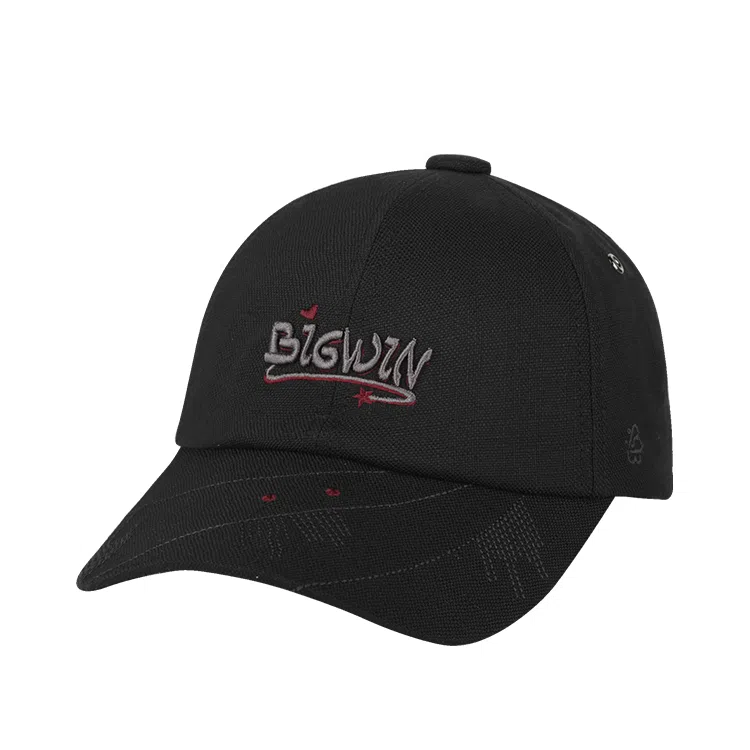 SWOFCARE BIGWIN