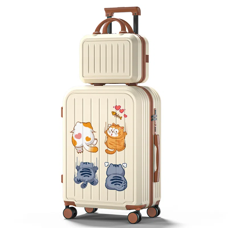 Zecedo ABS+PC 2024262228