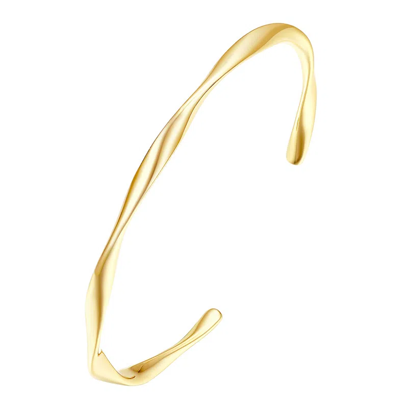 DC DESIGN CIRCLES ins S925