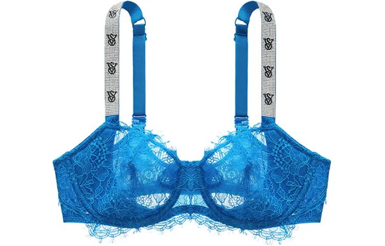 VICTORIA'S SECRET Logo