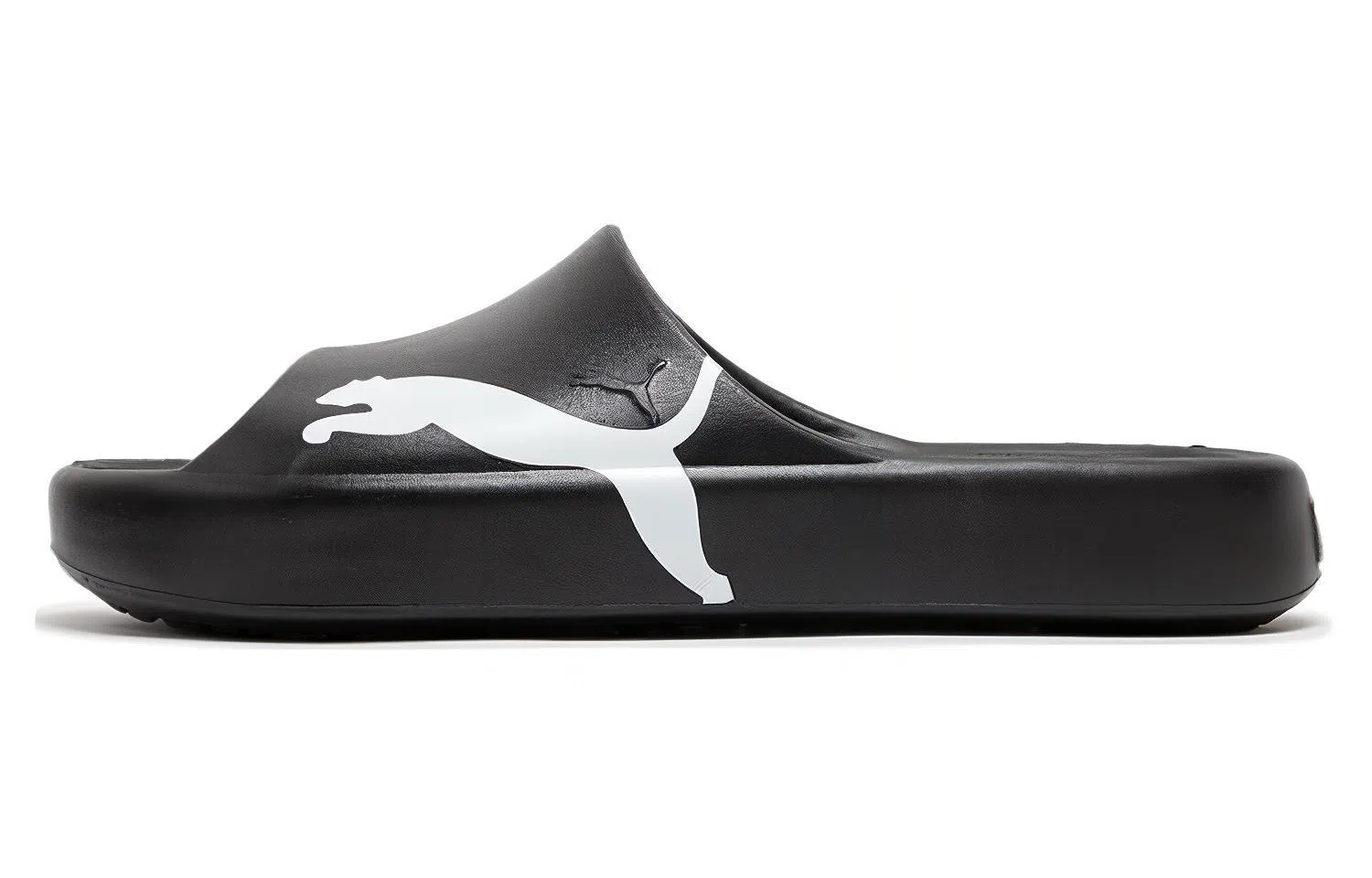 PUMA Shibui Cat