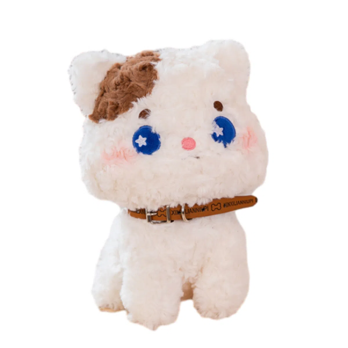 25cm30cm