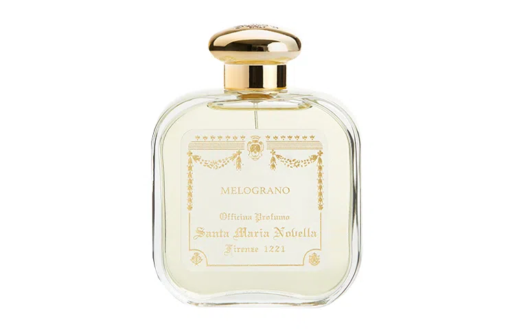 Santa Maria Novella EDC