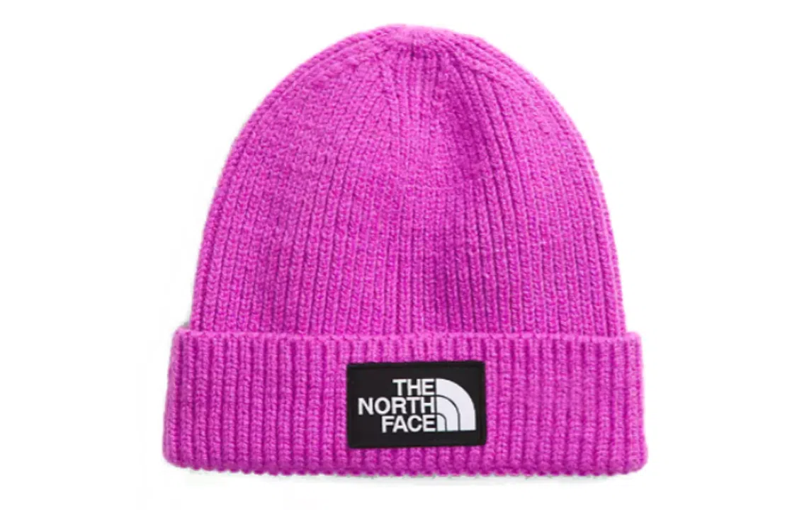 THE NORTH FACE Logo