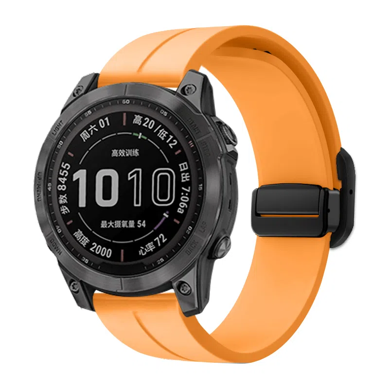 biaodaige GARMIN Forerunner 245