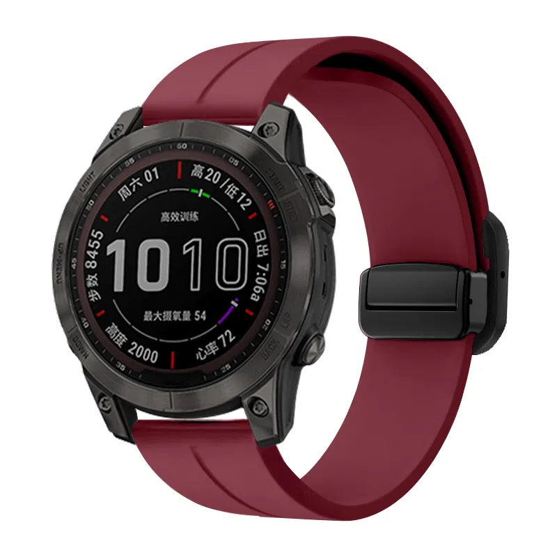 biaodaige GARMIN Forerunner 245