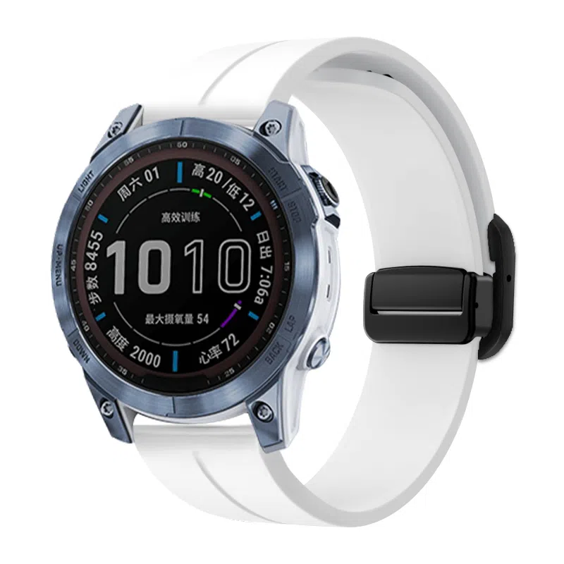 biaodaige GARMIN Forerunner 245