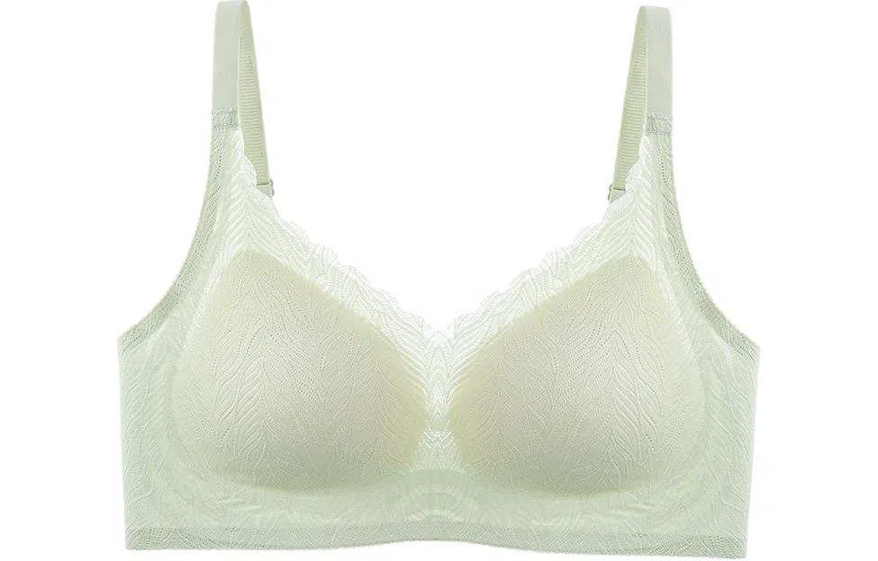 二三二三 小胸聚拢无钢圈提拉上托收副乳防下垂文胸 女款