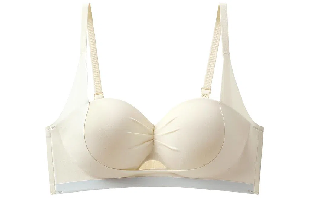 二三二三 小胸聚拢显大收副乳防下垂上托无痕调整型无钢圈文胸 女款