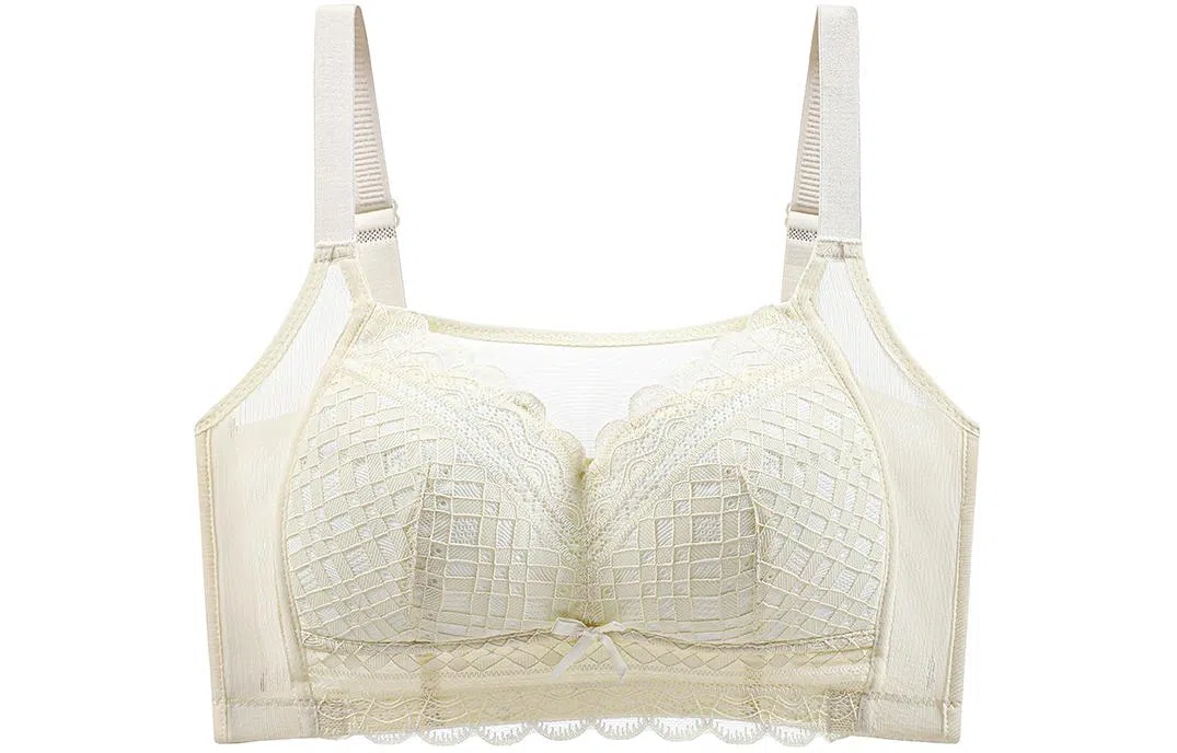 二三二三 蕾丝花边聚拢防走光大胸显小文胸 女款