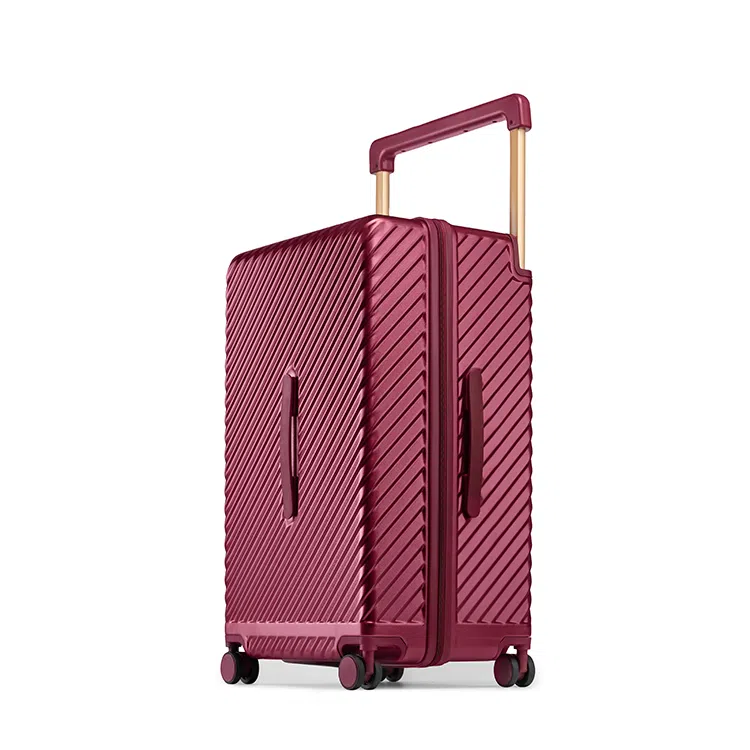 PAUL FRANK20242628ABS+PC